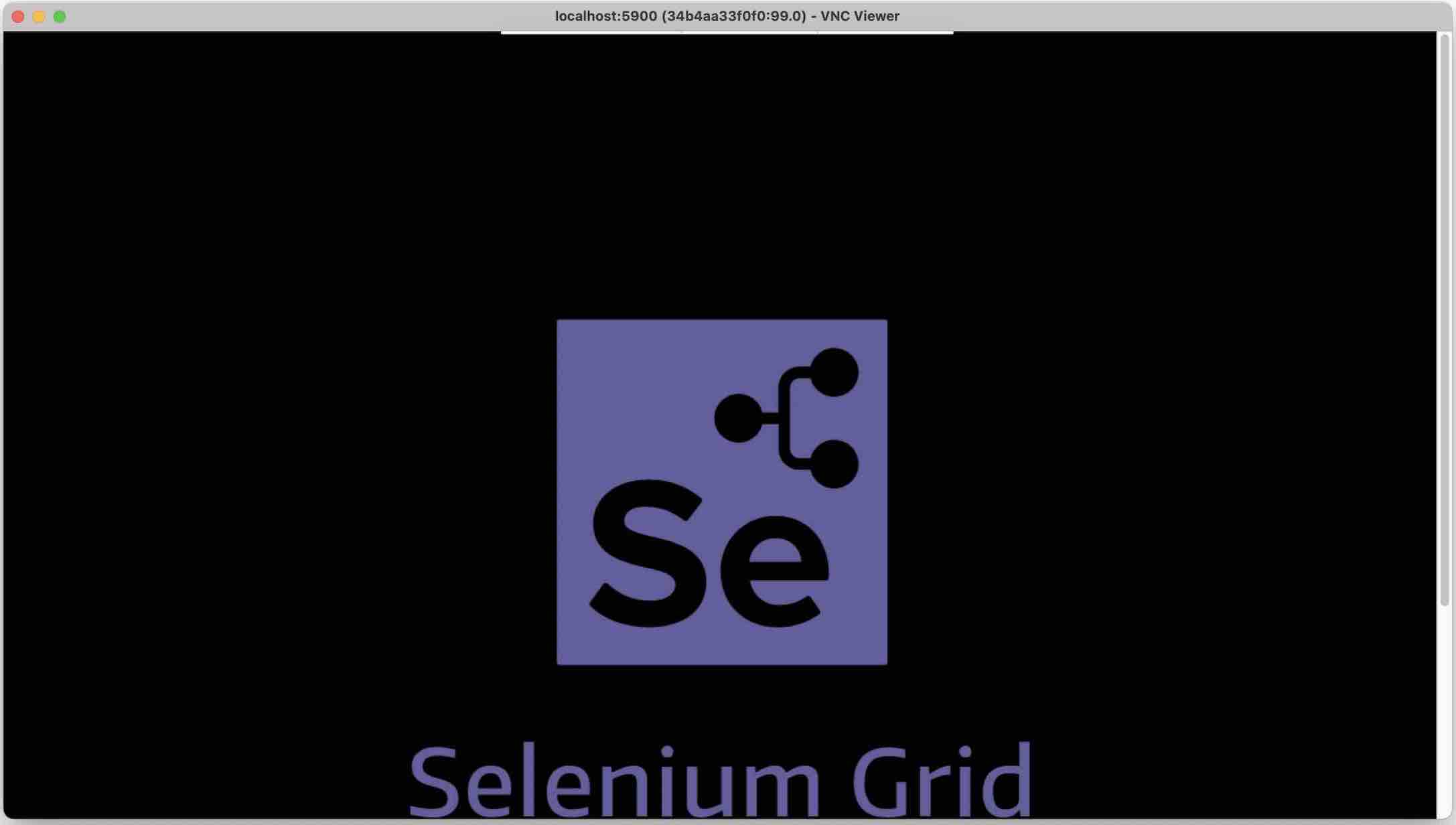 使用 VNC Viewer 查看 Selenium Grid 运行桌面