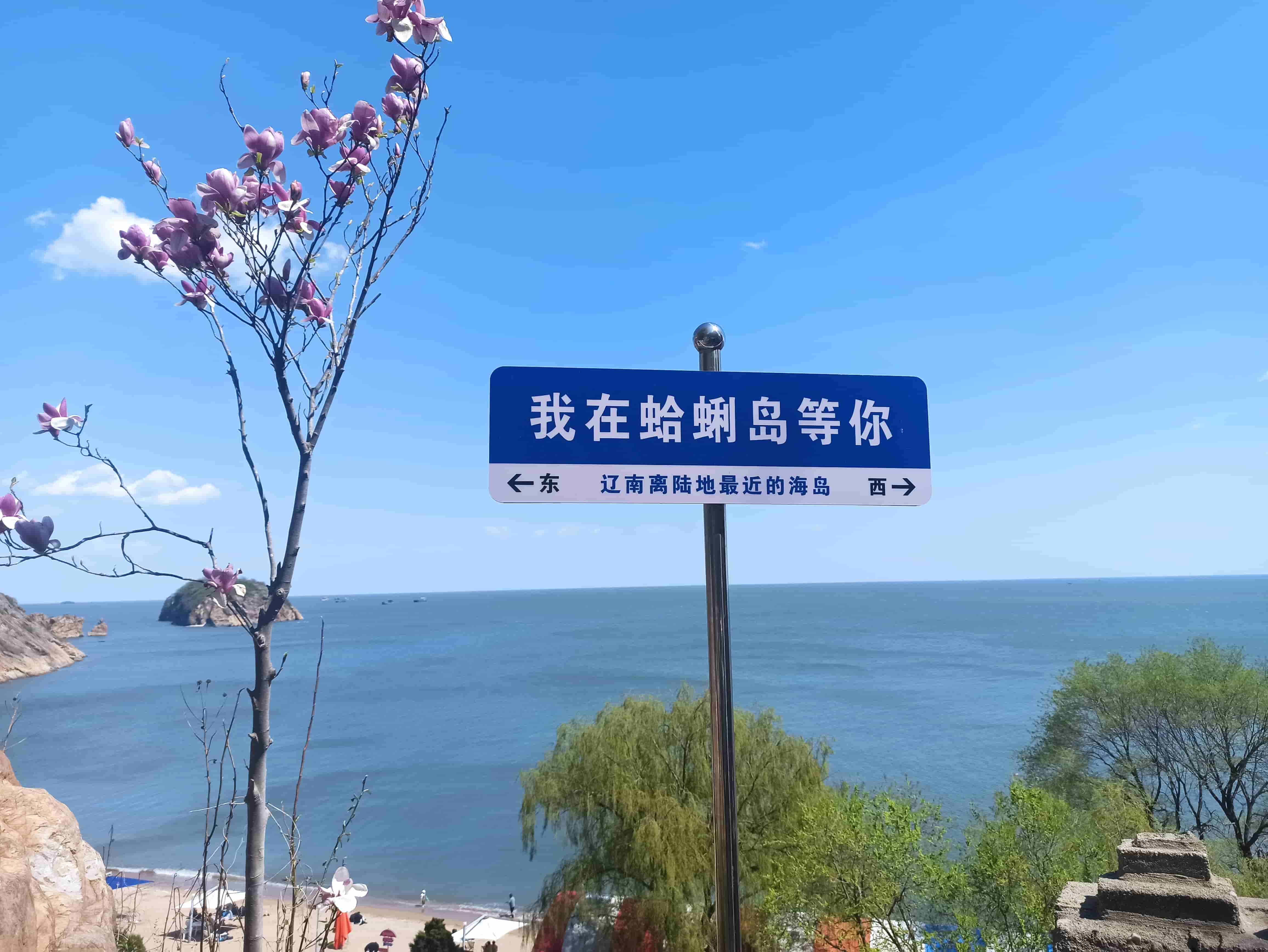 2025 莊河蛤蜊島之旅