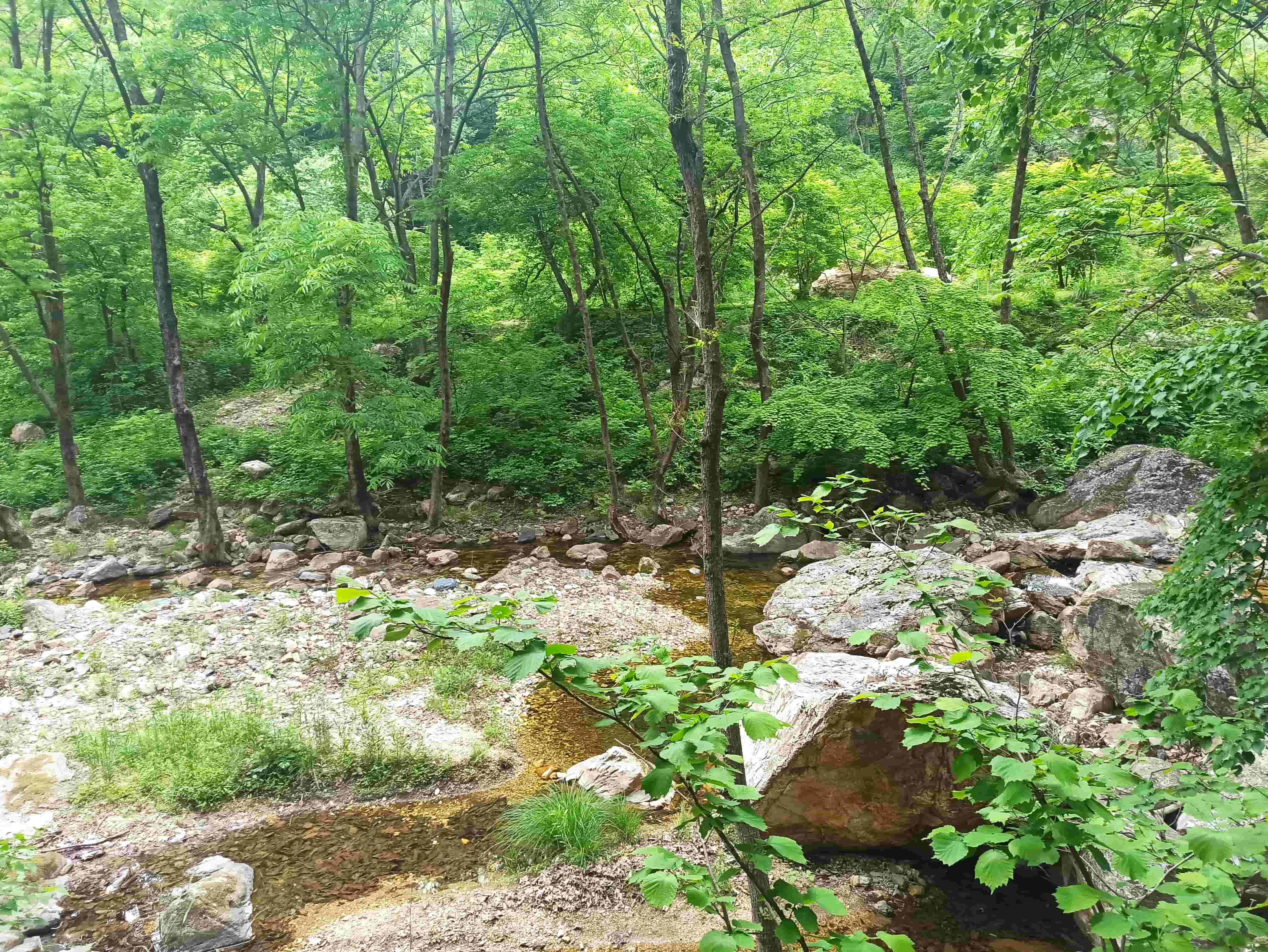2025 莊河天門山之旅