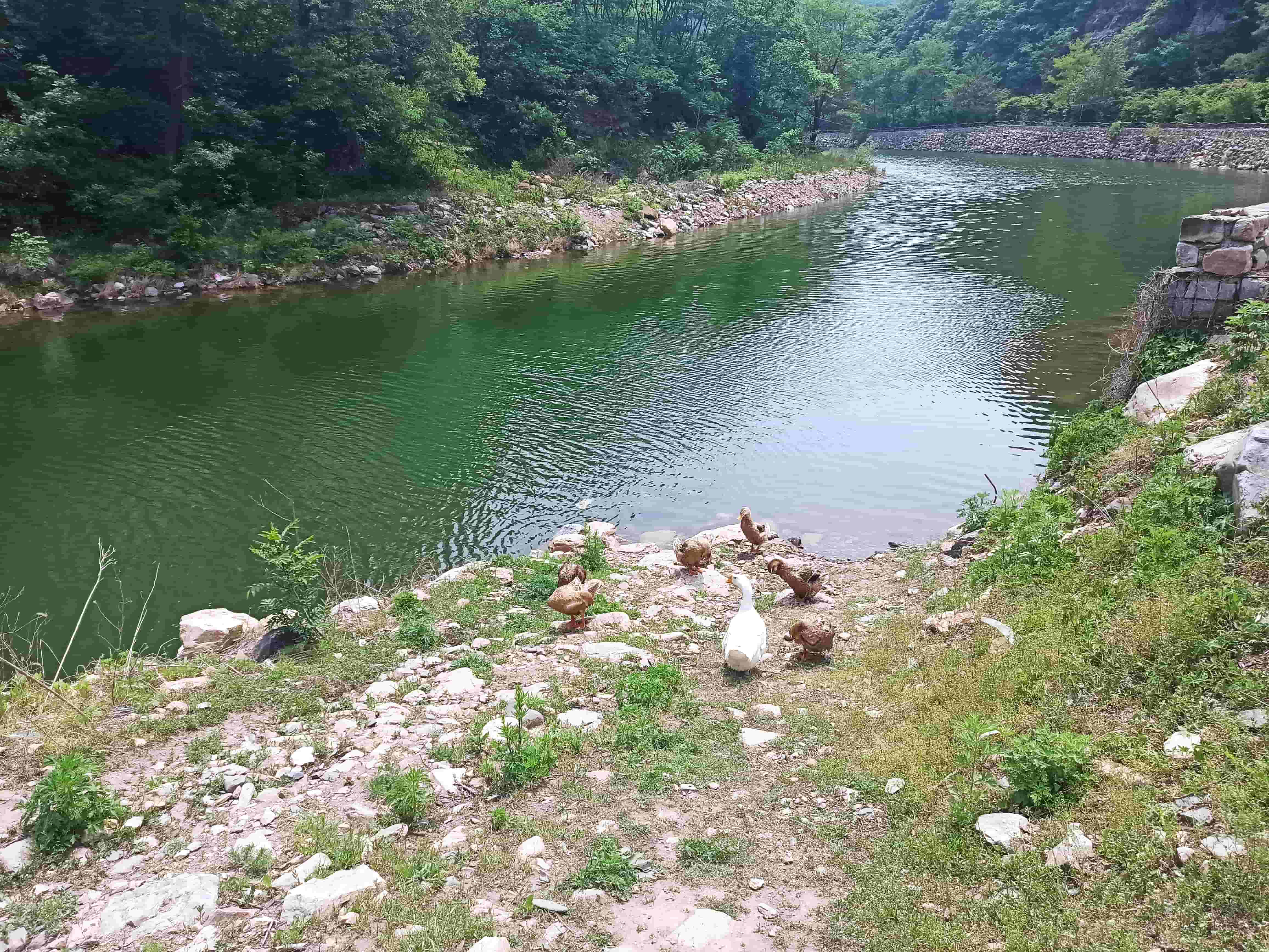 2025 莊河天門山之旅