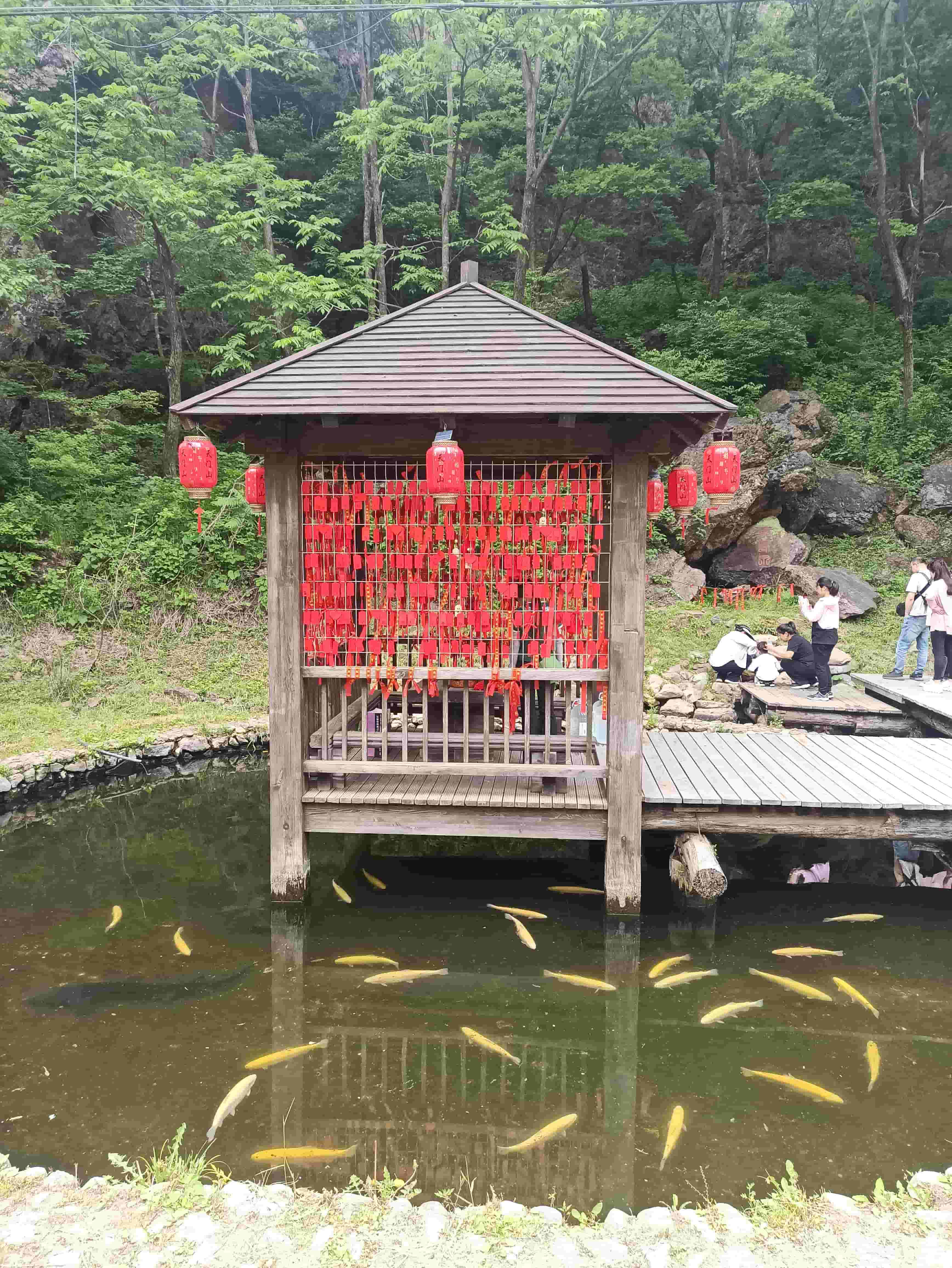 2025 莊河天門山之旅