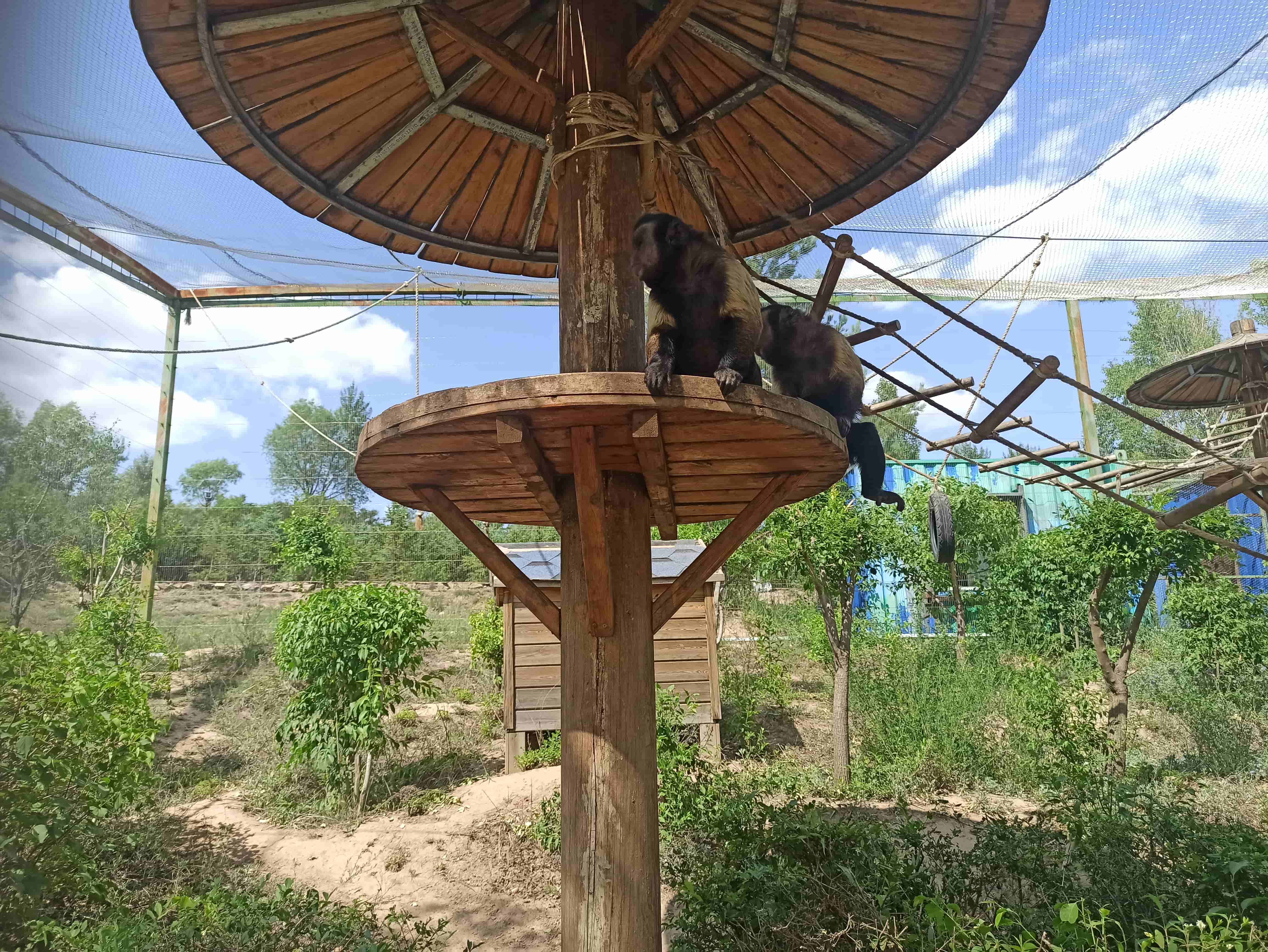 鄂爾多斯動物園