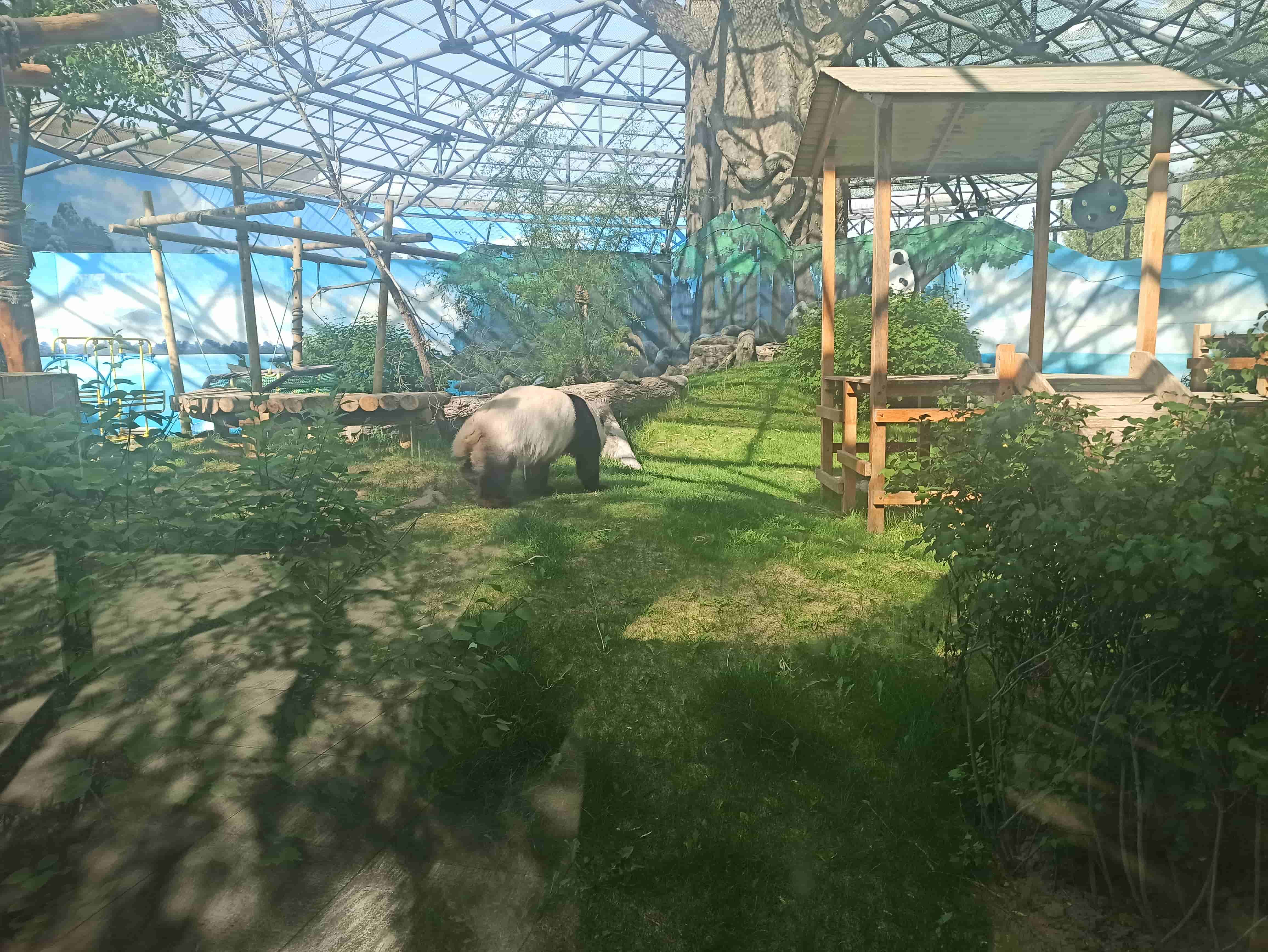 鄂爾多斯動物園