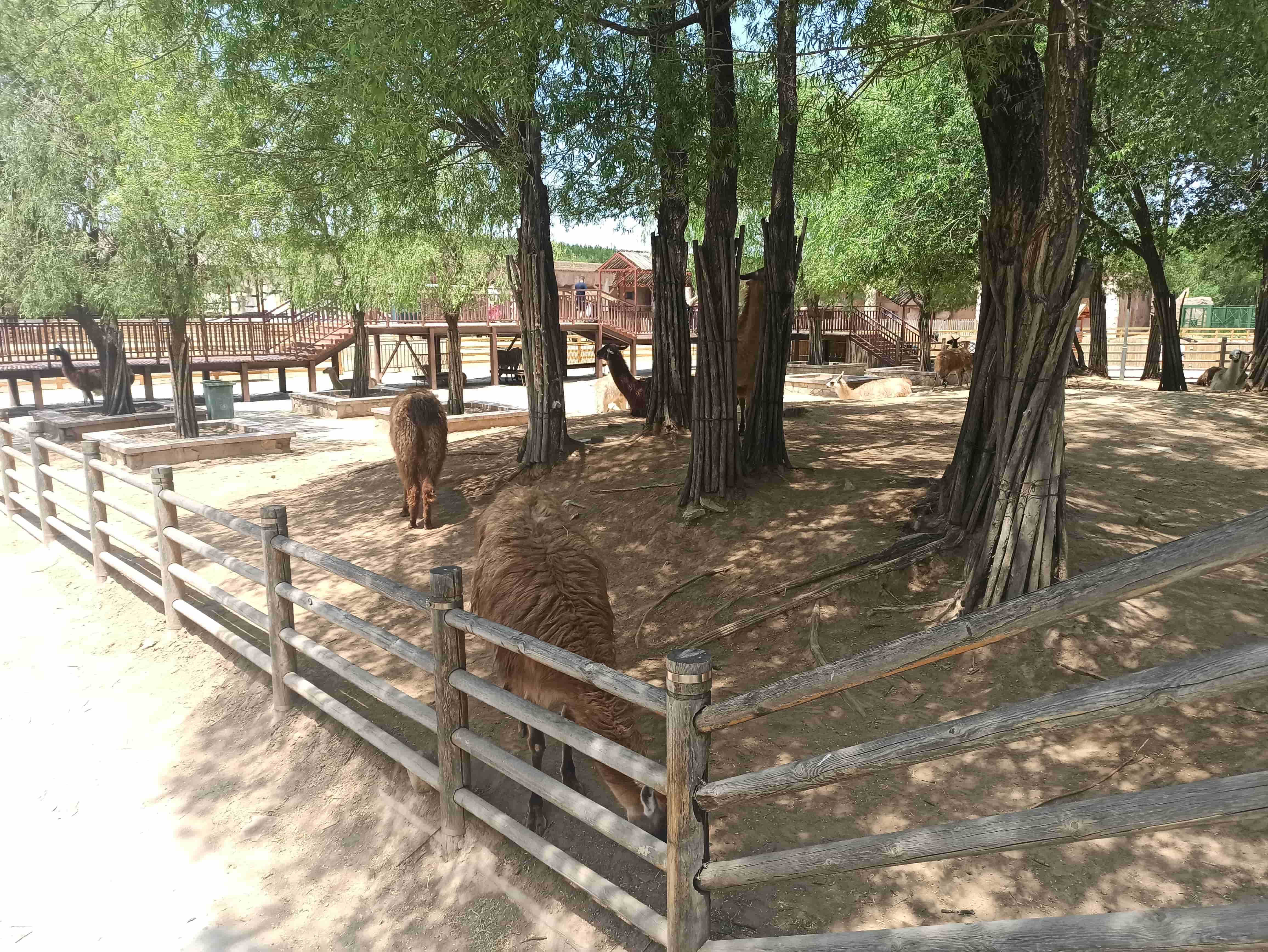 鄂爾多斯動物園