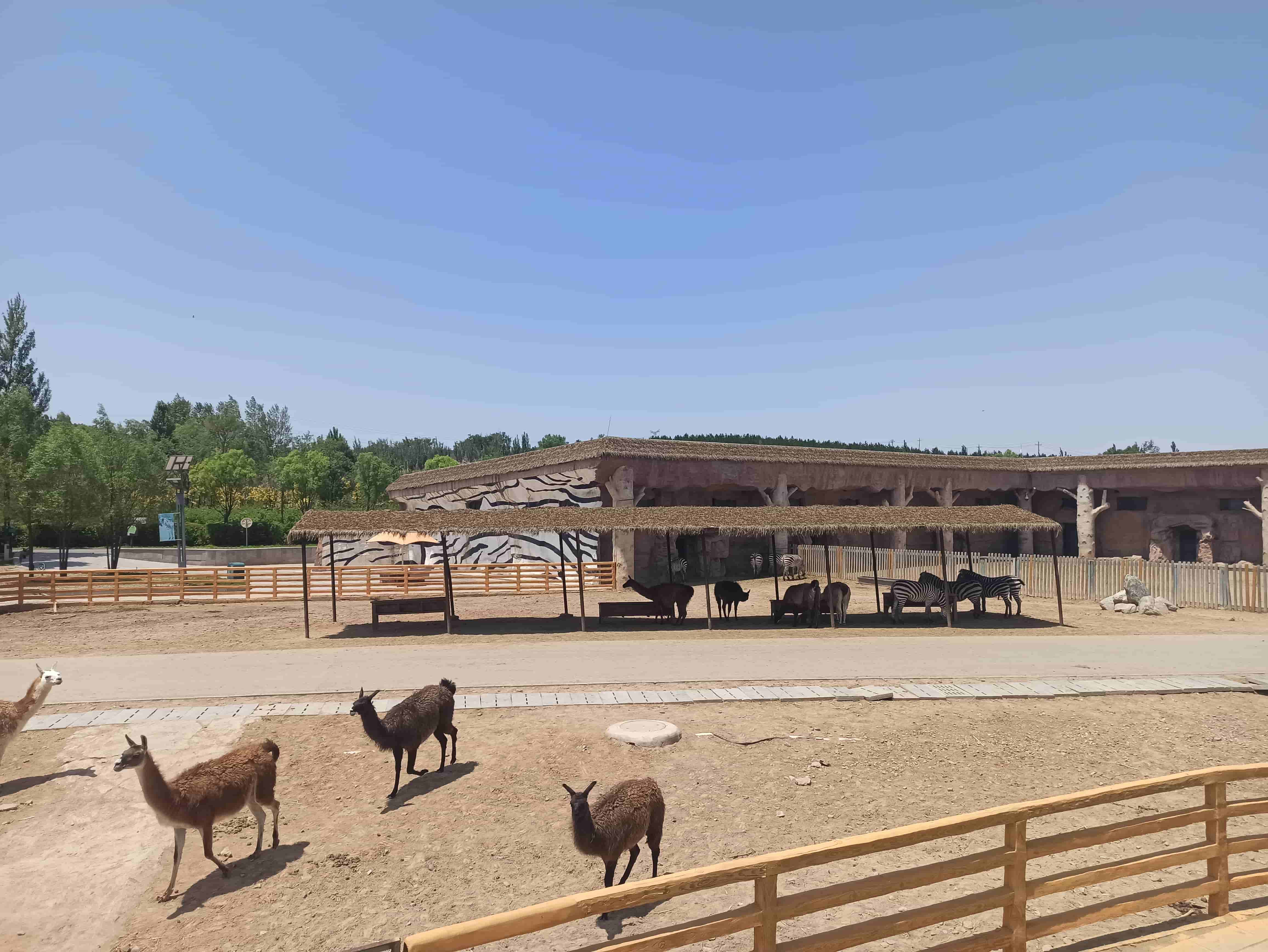 鄂爾多斯動物園