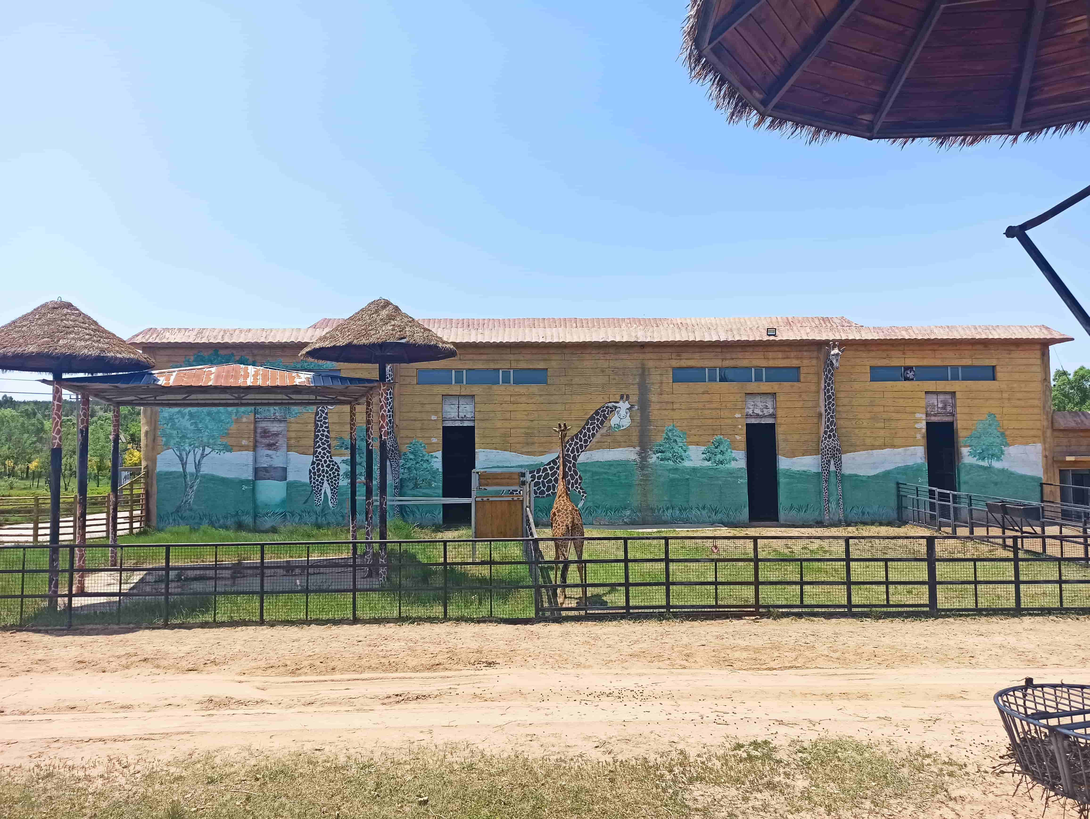 鄂爾多斯動物園