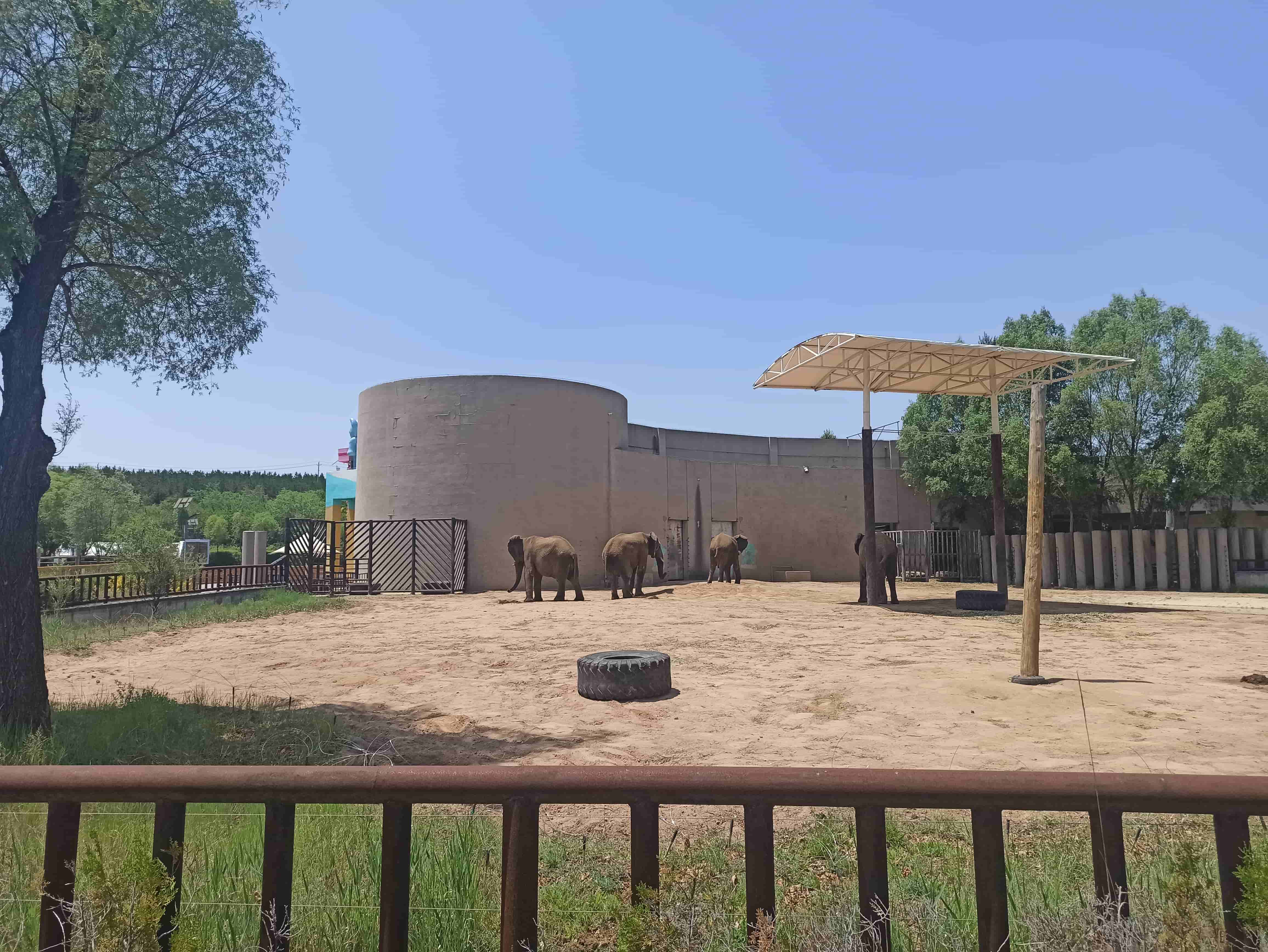 鄂爾多斯動物園