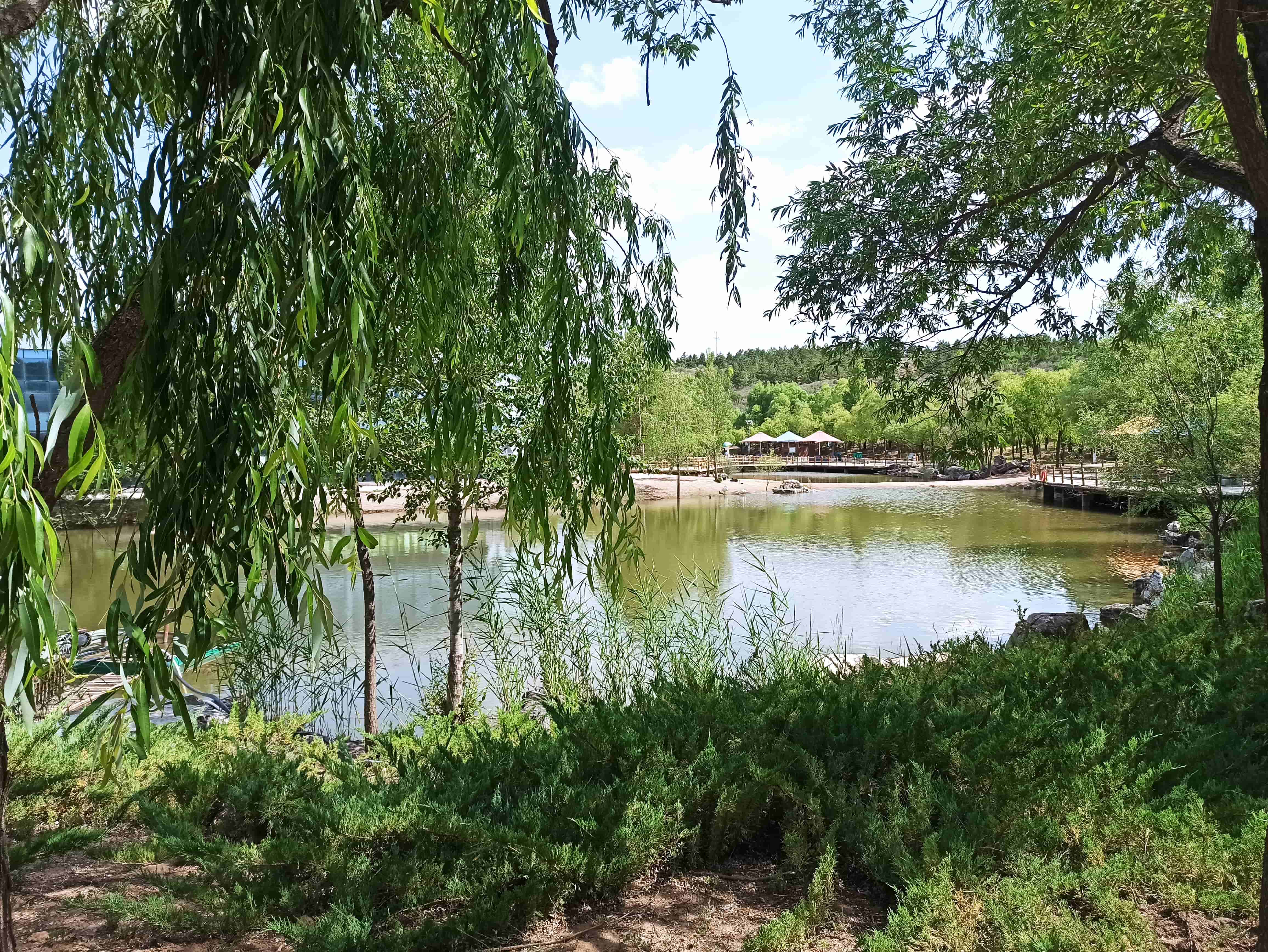 鄂爾多斯動物園