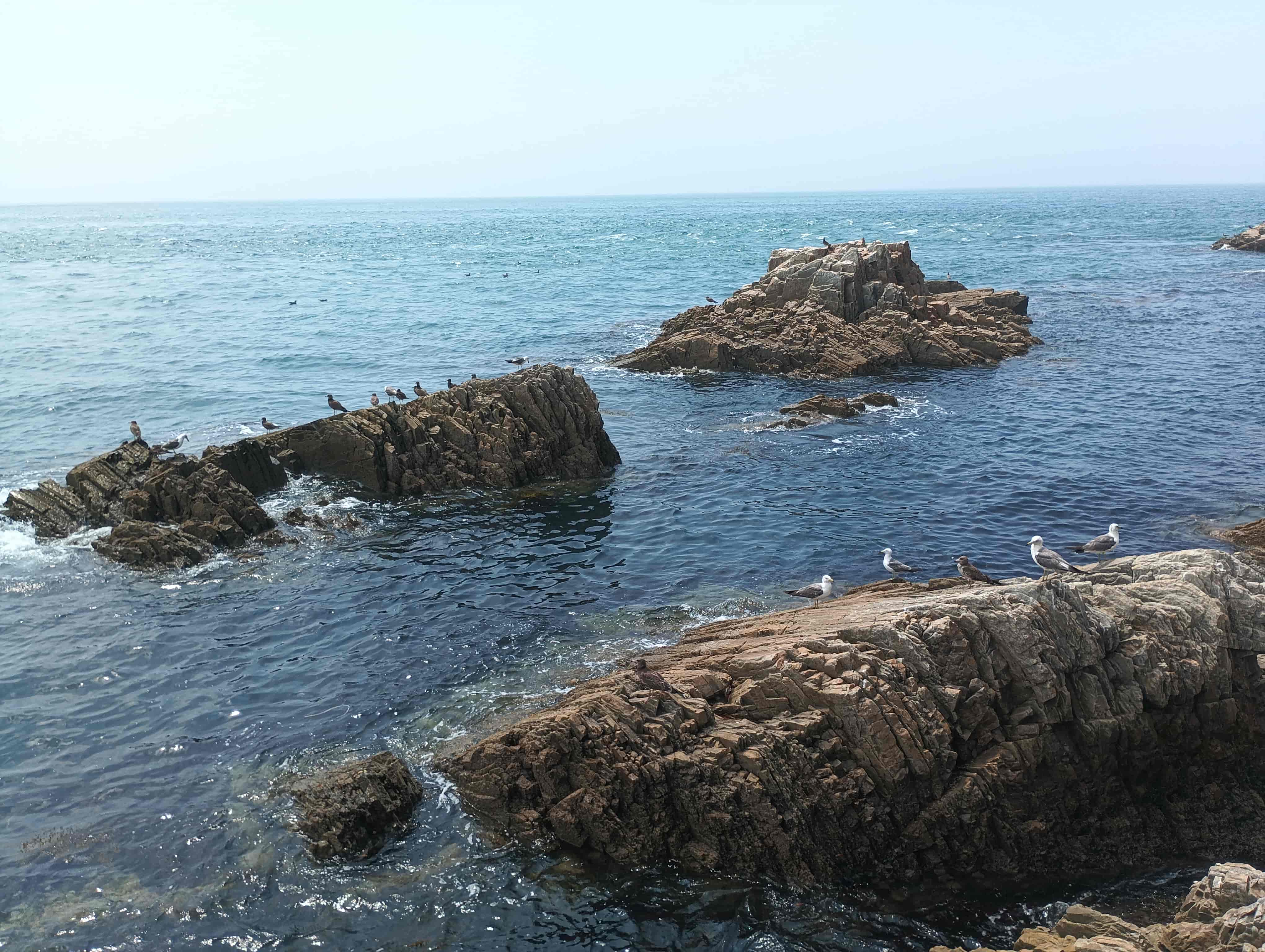 黃渤海分界線