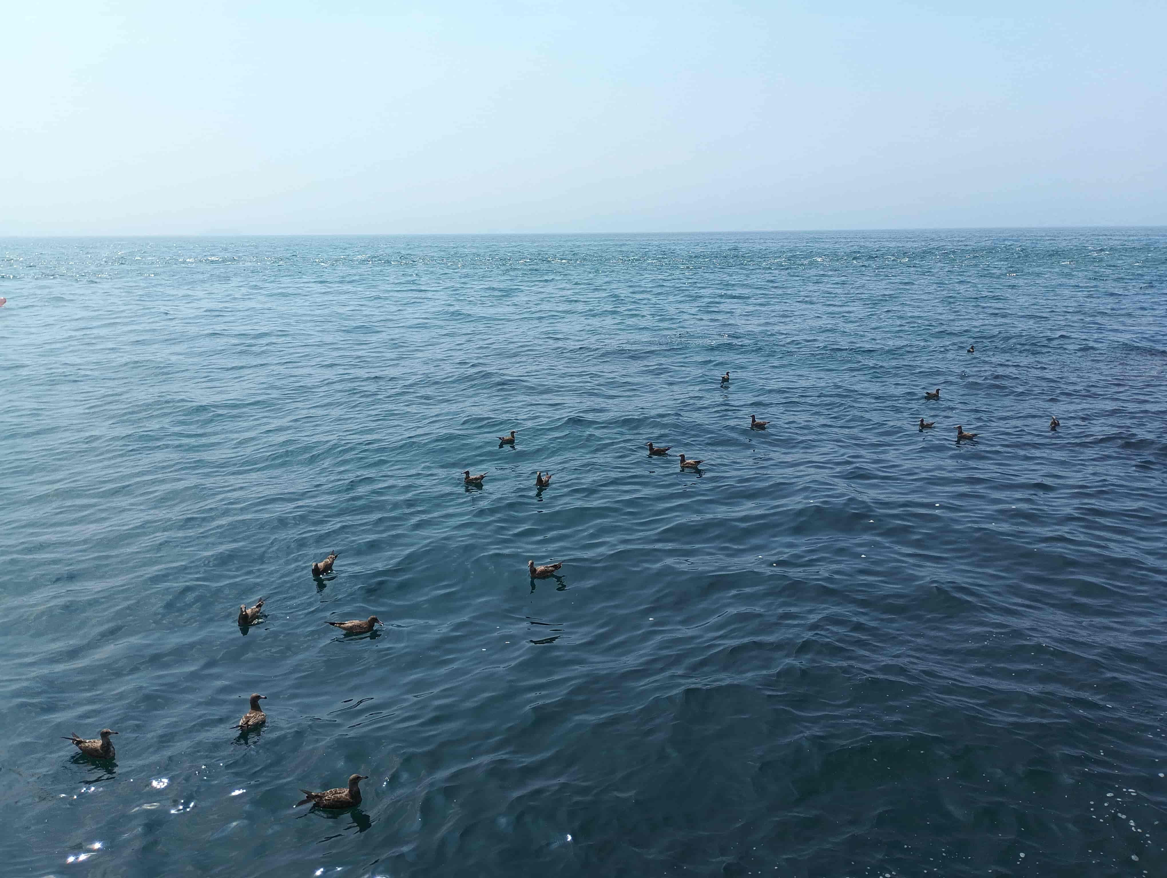 黃渤海分界線