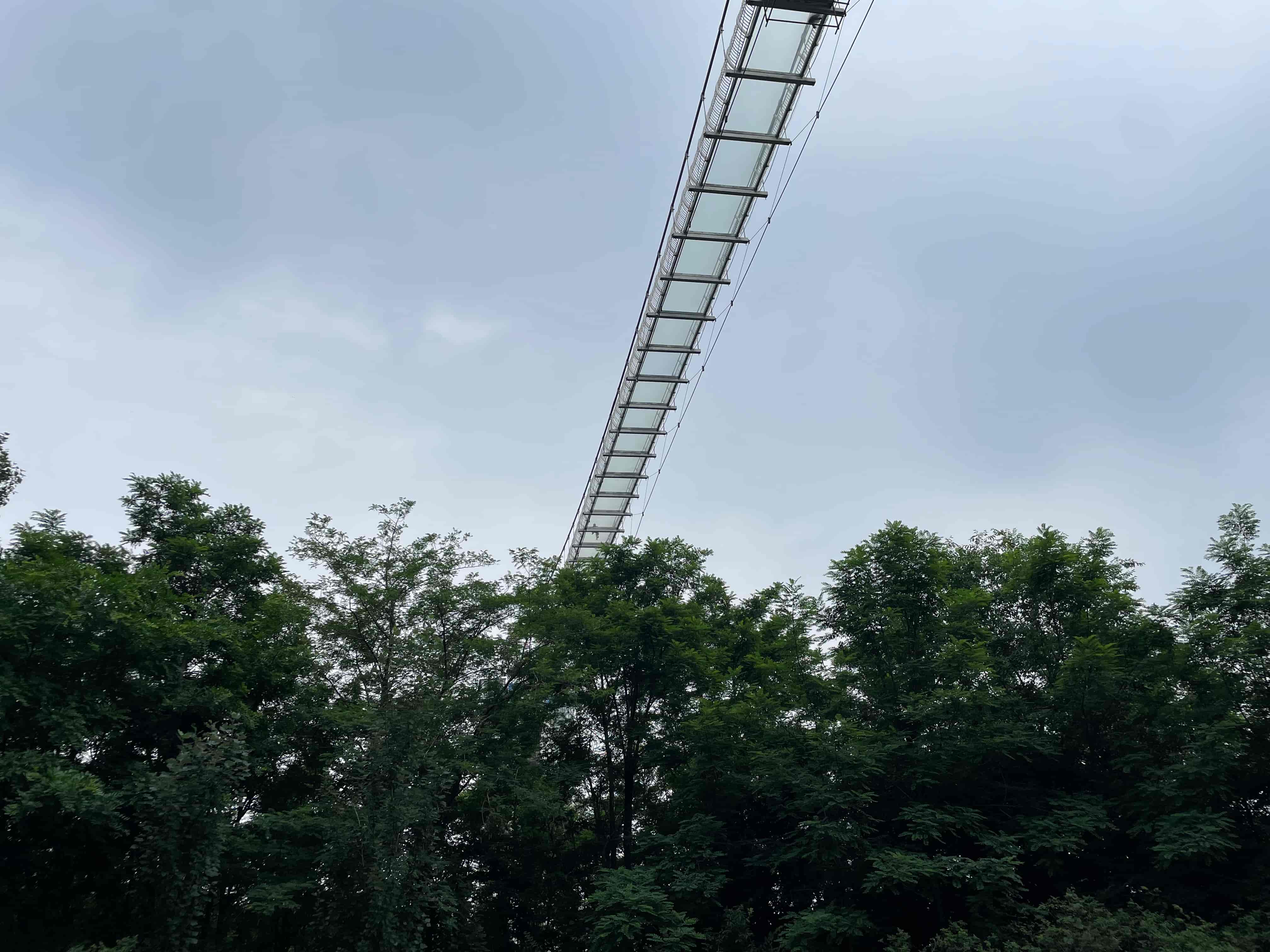遼寧團山海洋公園